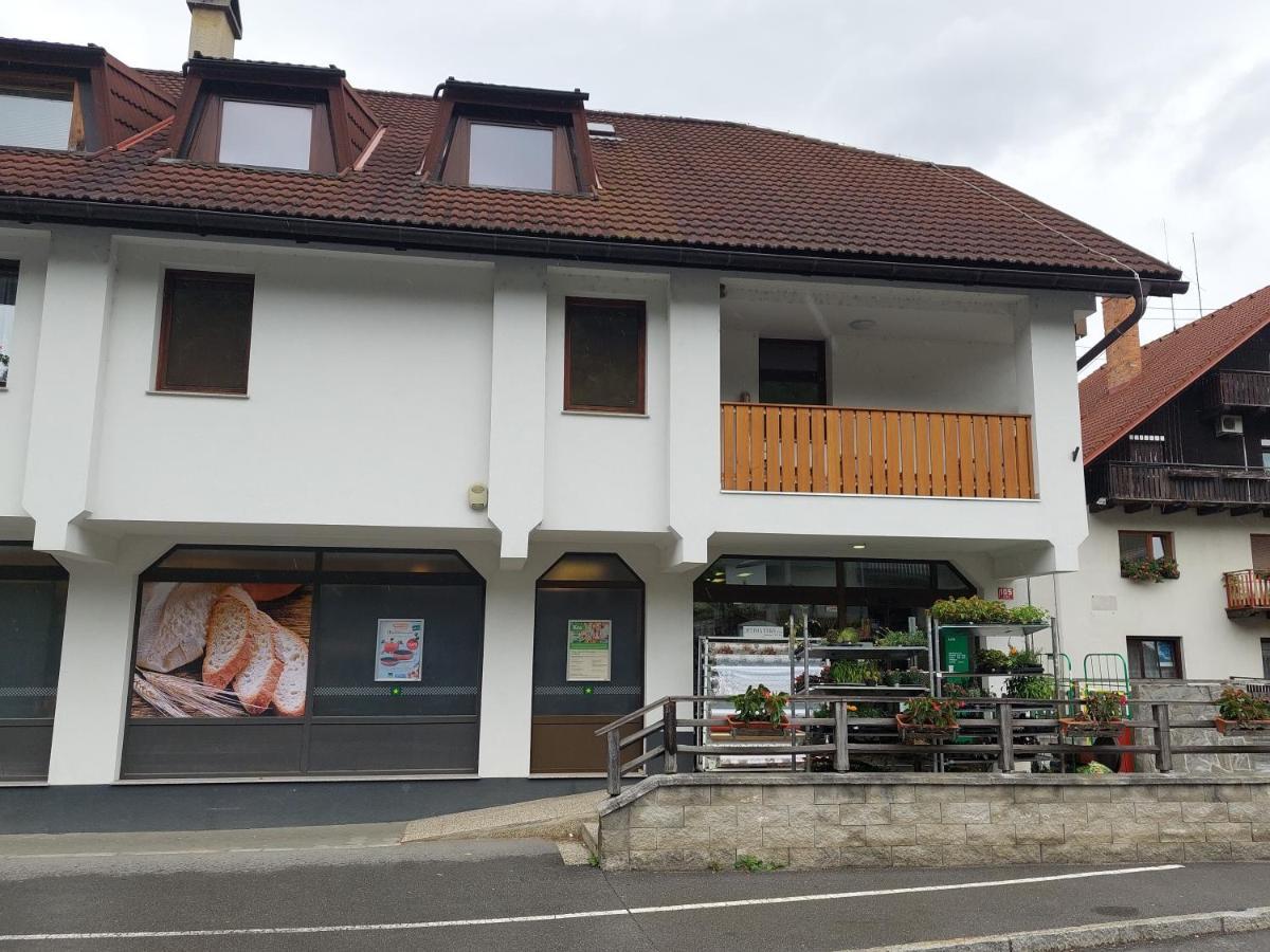 Apartment Veninsek Luče エクステリア 写真