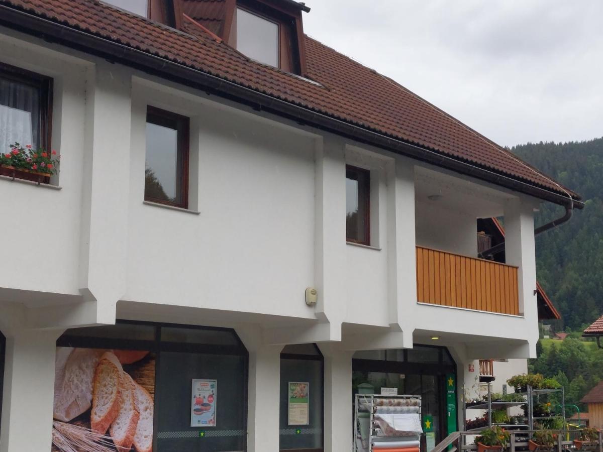 Apartment Veninsek Luče エクステリア 写真