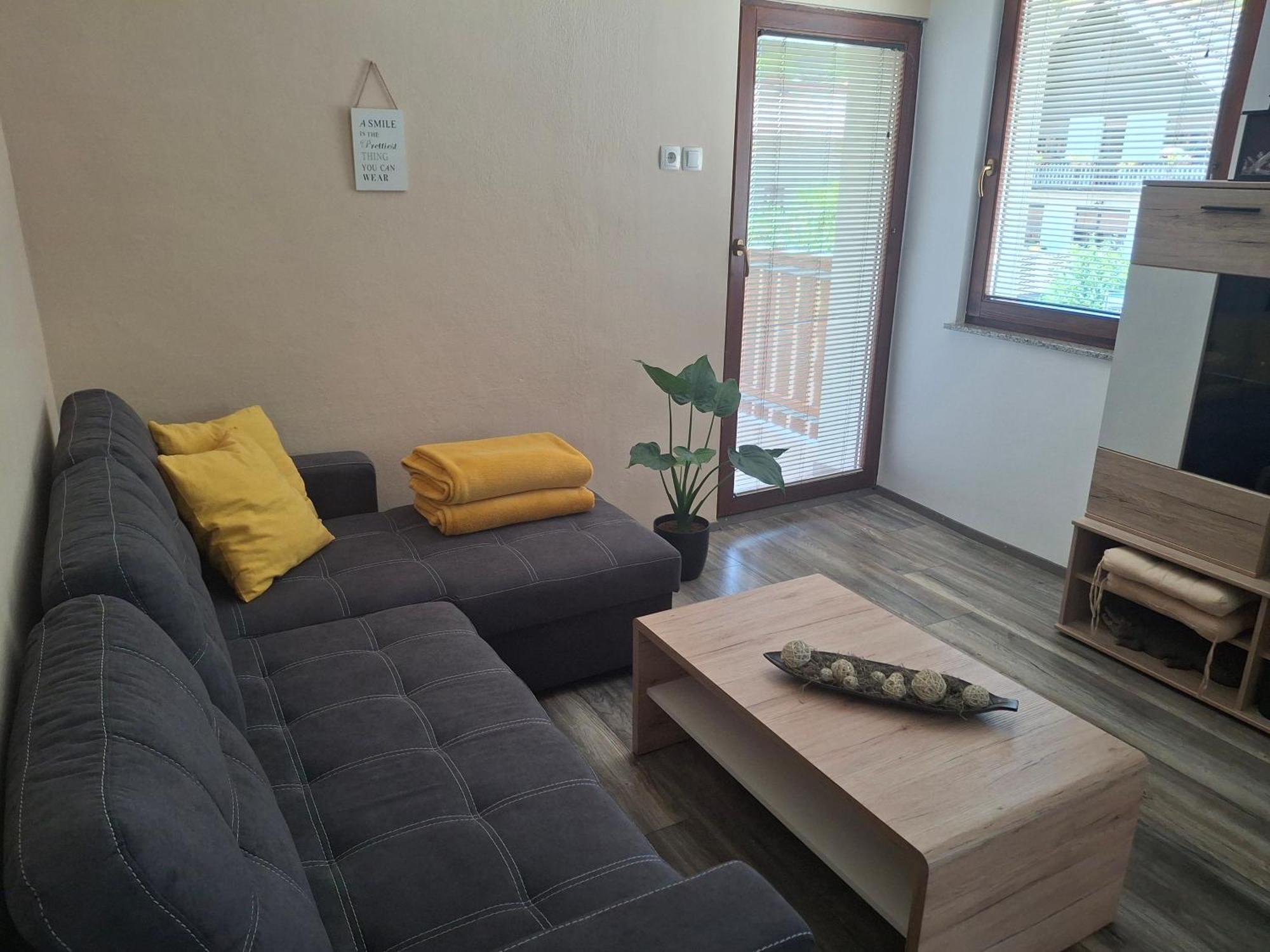 Apartment Veninsek Luče エクステリア 写真